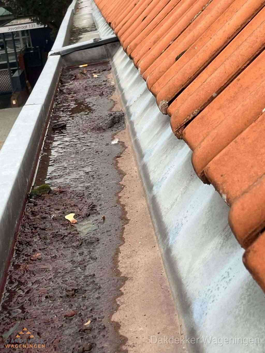 Dakgoot Reparatie Wageningen Dakgoot Reparatie Wageningen