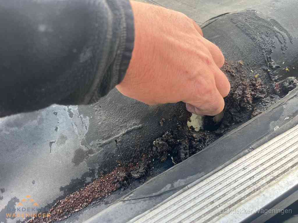 Plat Dak Reparatie Wageningen Plat Dak Reparatie Wageningen