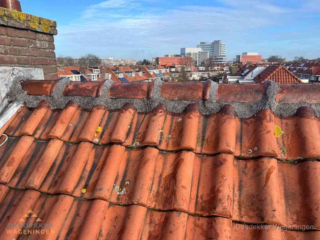 Wageningen Daken Renoveren Wageningen Daken Renoveren